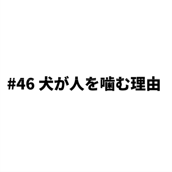 浜松市にある日本初のアロマを使った犬のしつけ教室 訓練 ドッグトレーニング ペット ライフ サラン 浜北 磐田市 袋井市 掛川市 46犬が人を噛む 浜松市犬のしつけ 出張トレーニング 散歩引っ張り 噛みつき 吠え 野犬 保護犬トレーニング磐田 袋井 掛川